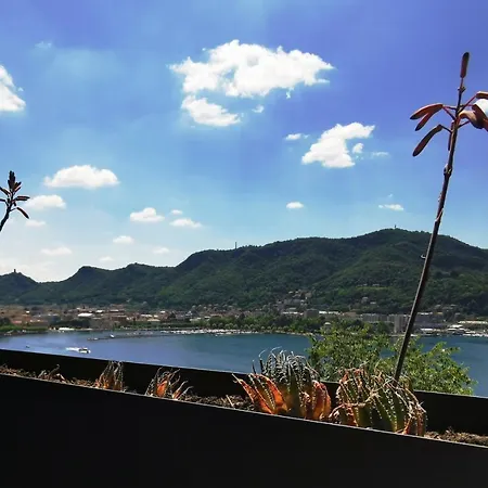 Veranda View *