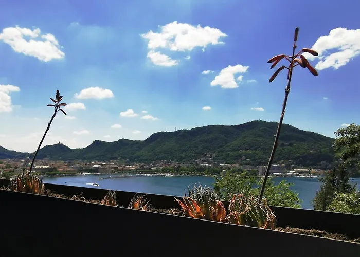 Veranda View *