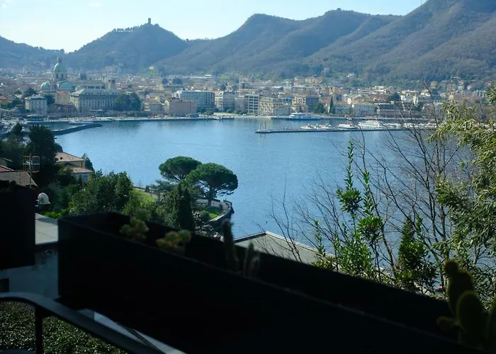 Veranda View
